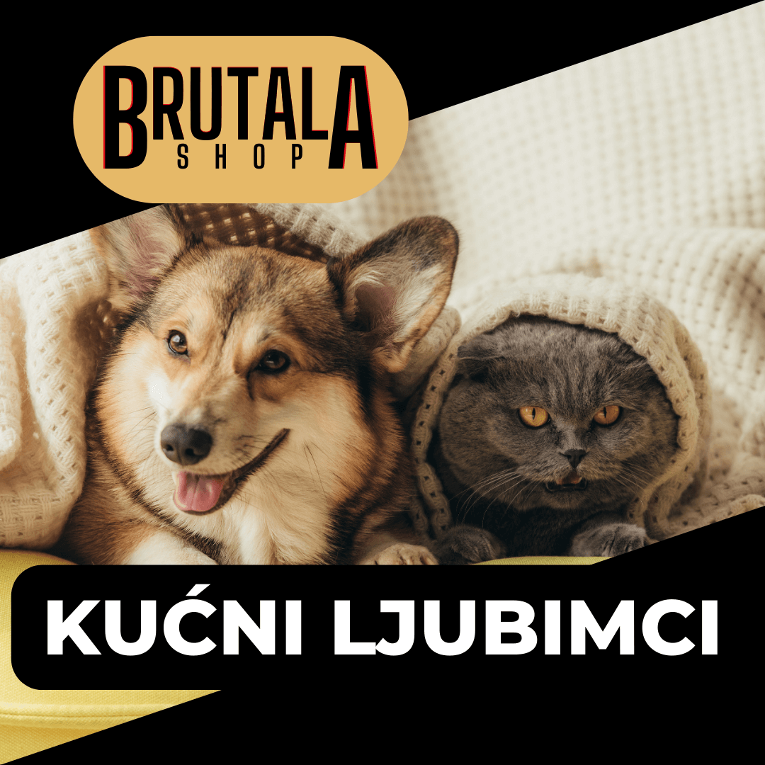 Kućni ljubimci