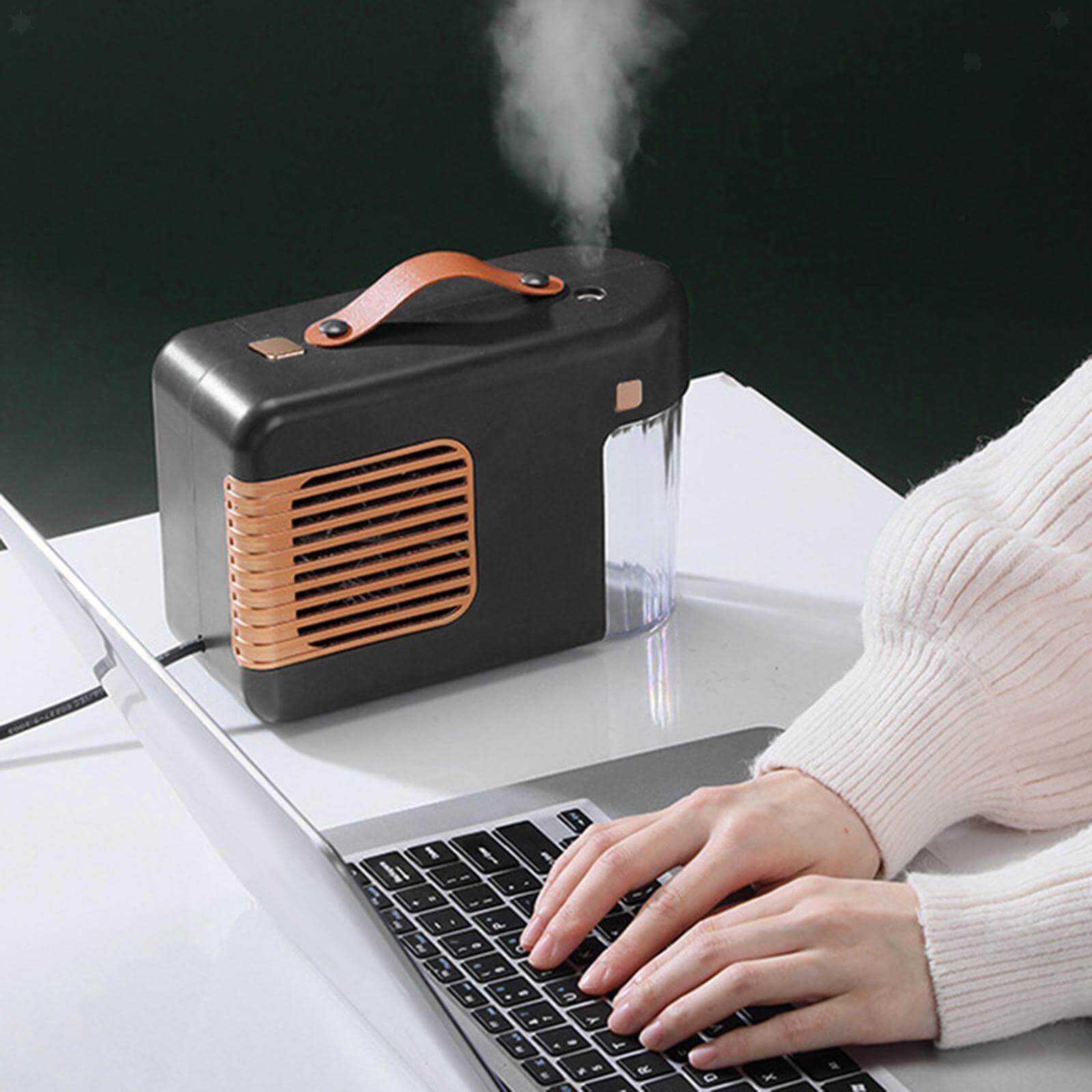 Humidifier and heater 2in1